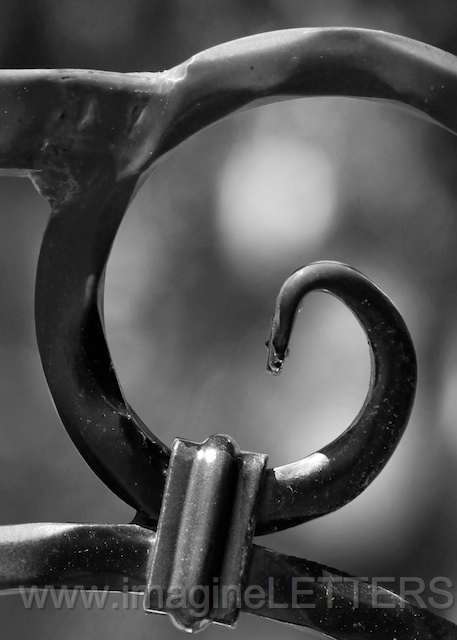 Wall_Art_Alphabet_Photography_Art_ 694.jpg